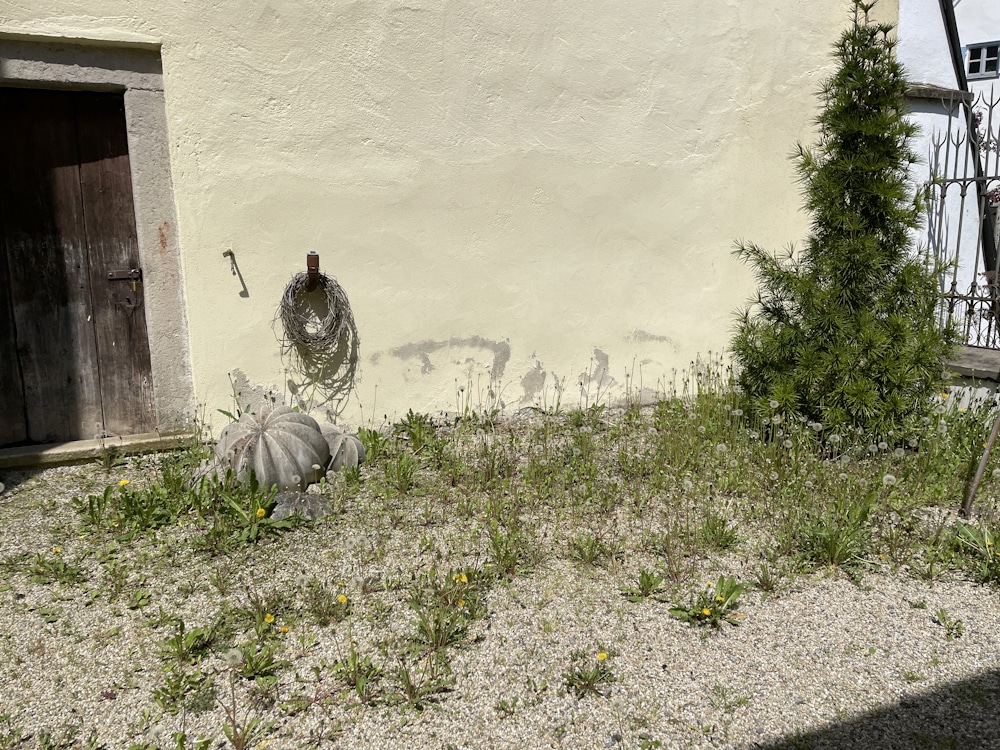 Schloss Neukirchen Mauer Tor vorher